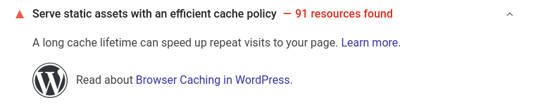 A screenshot of a Pagespeed Insighs analysis of a small business website, with the message 'serve static assets with an efficient cache policy'