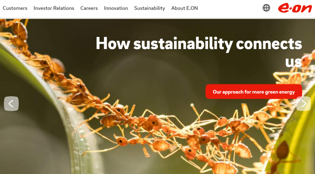 a screenshot of Eon's homepage, depicting a photo of a colony of ants and the words 'How sustainability connects us' in white